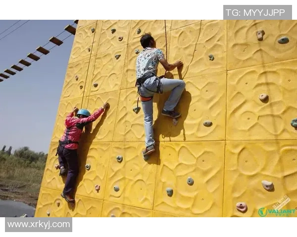 成都攀岩队员个人能力深度对比与分析揭示团队潜力与发展方向