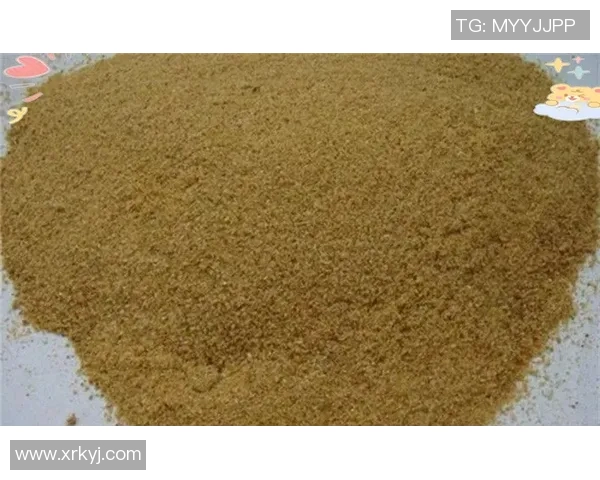 李芳独家分享网球心得与技巧助你提升球技的全面指南