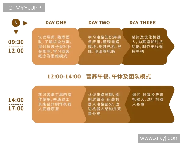 基于规则导向的思维模式与行为准则在现代社会中的应用与影响分析